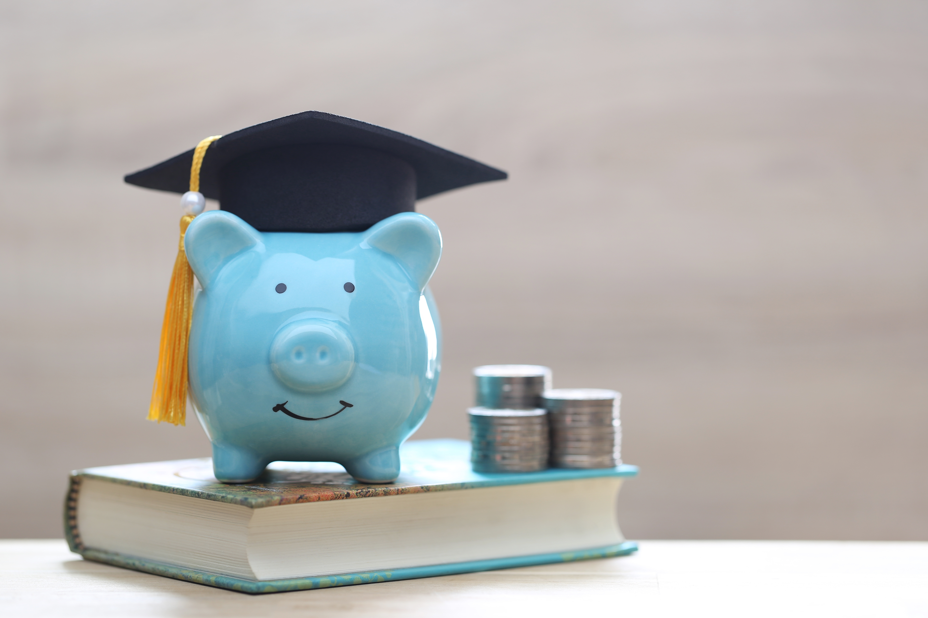 Photo of piggy bank and coins